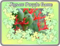 Free Online Puzzles Games. You can download this free !
